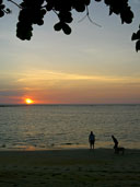 หาดในยาง_อุทยานแห่งชาติสิรินาถ_ภูเก็ต_48